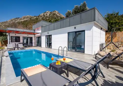 Villa Ural Üzümlü