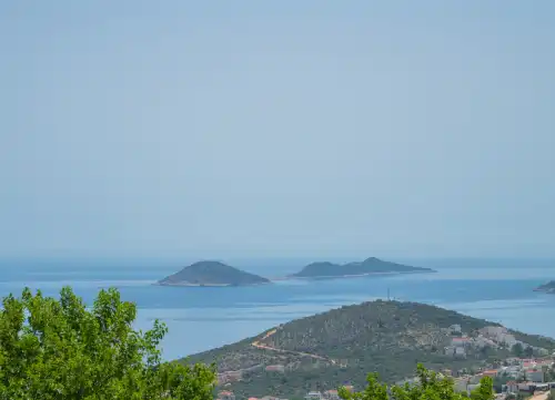 Apart Berry Kalkan