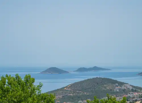 Apart Blueberry Kalkan