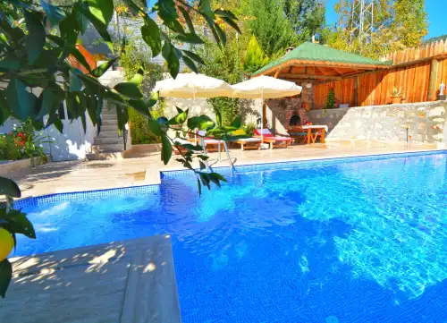 Muhafazakar Villa Ayaz İslamlar