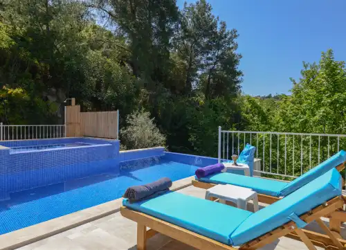 Muhafazakar Villa Botanik İslamlar 
