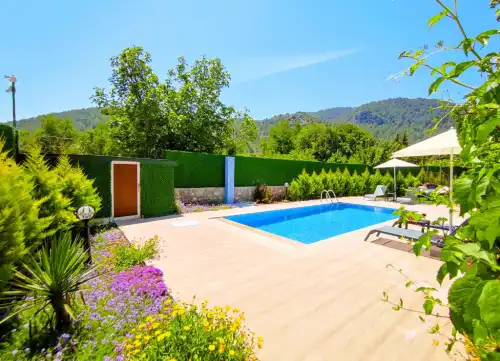 Villa Limon Evi