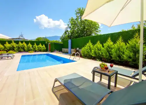 Villa Limon Evi