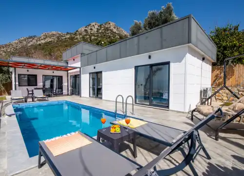 Villa Ural Üzümlü