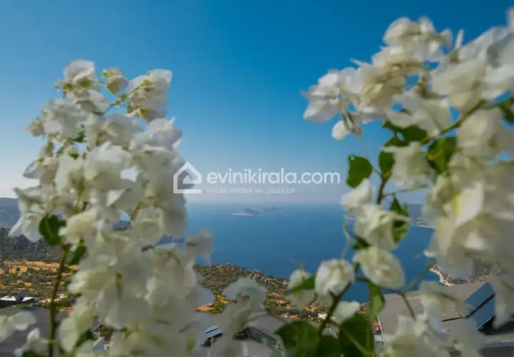 evini-kirala-villa-manzara-kordere07-4929-14_329.jpeg