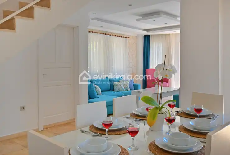 eviin-kirala-villa-yakut-ibrahimsarvarli-33_1919x1280_690.jpg