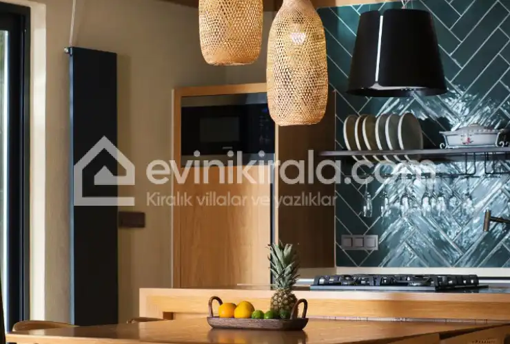 evini-kirala-villa-calipso-muses-75_149.jpeg