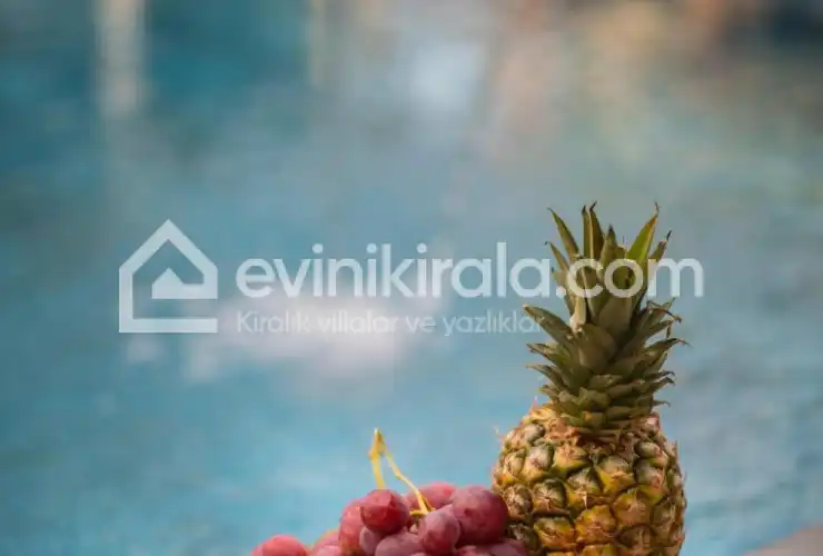 evini-kirala-villa-ceniba-18_600.jpeg