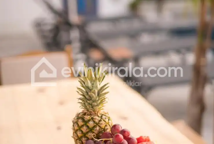evini-kirala-villa-ceniba-36_894.jpeg