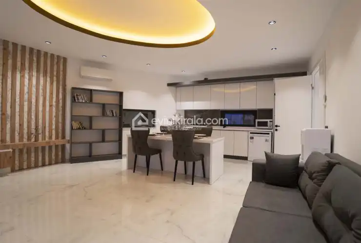 evini-kirala-villa-efe-akbel-furkan-badir--28_1920x1080_467.jpg