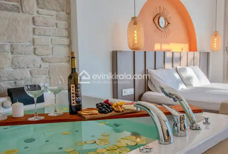 evini-kirala-villa-elysium--51_686.jpg
