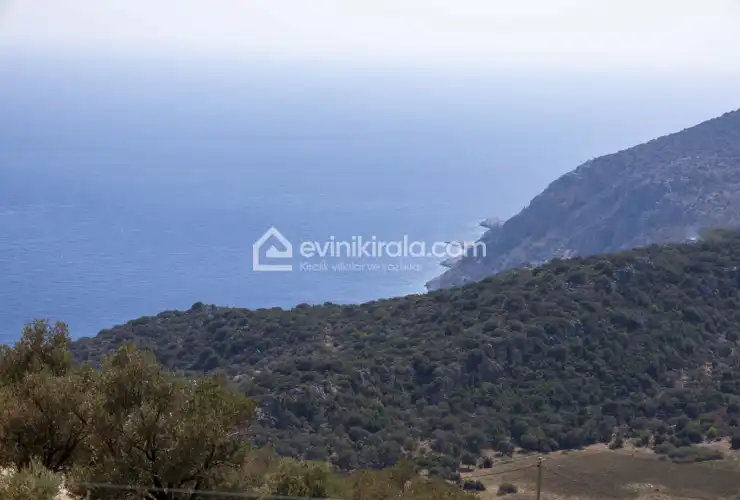 evini-kirala-villa-firoza-3-61_898.jpg