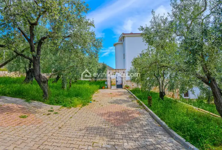 evini-kirala-villa-green-uzumlu-6-kisilik-6_606.jpg