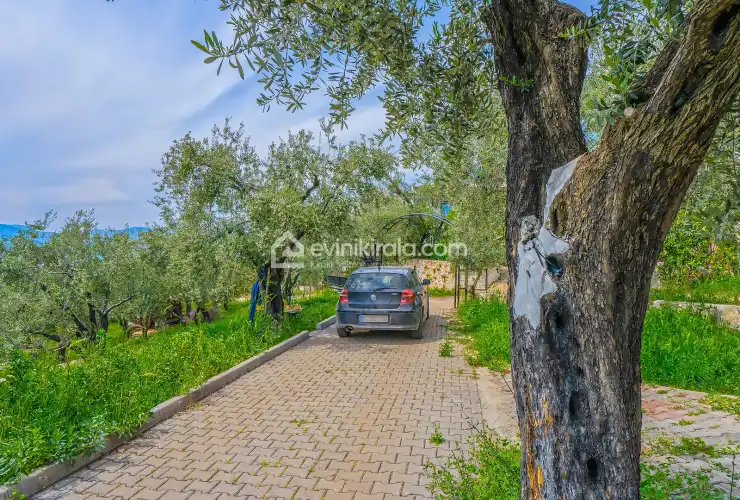 evini-kirala-villa-green-uzumlu-6-kisilik-7_641.jpg