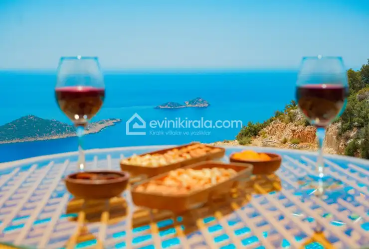 evini-kirala-villa-hills-chill-6_1920x1280_98.jpg