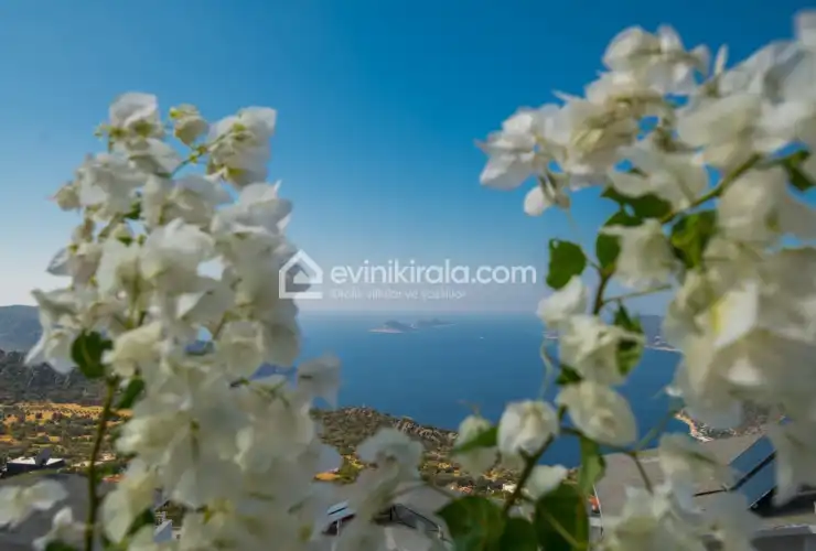 evini-kirala-villa-manzara-kordere07-4929-14_329.jpeg