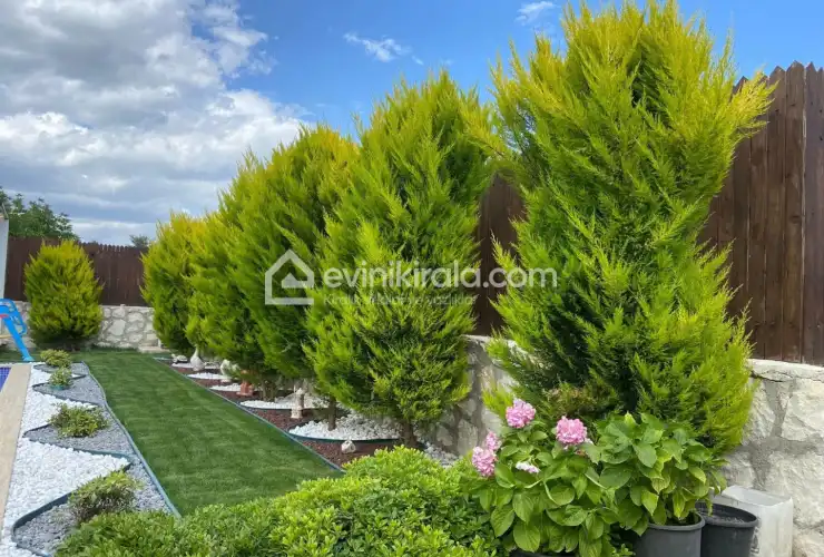 evini-kirala-villa-oscar-deluxe-bahce-12_1707x1280_411.jpg