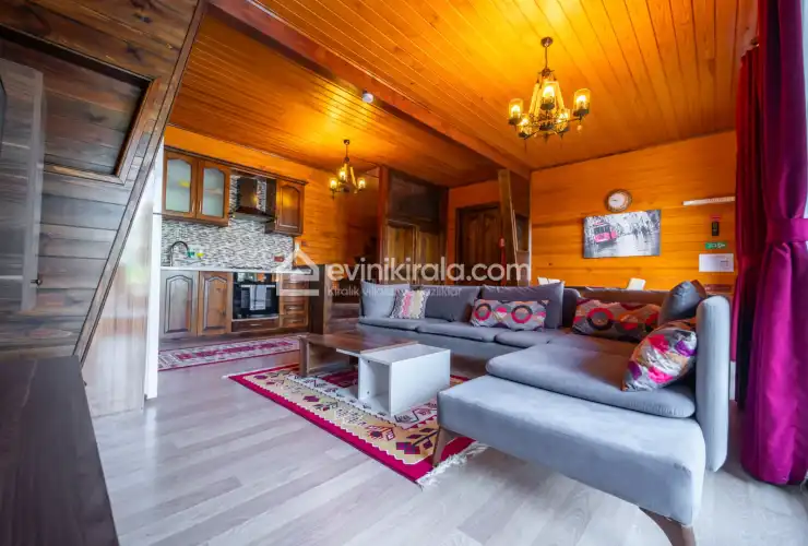 evini-kirala-villa-seyir-tepe-2-52_746.jpg