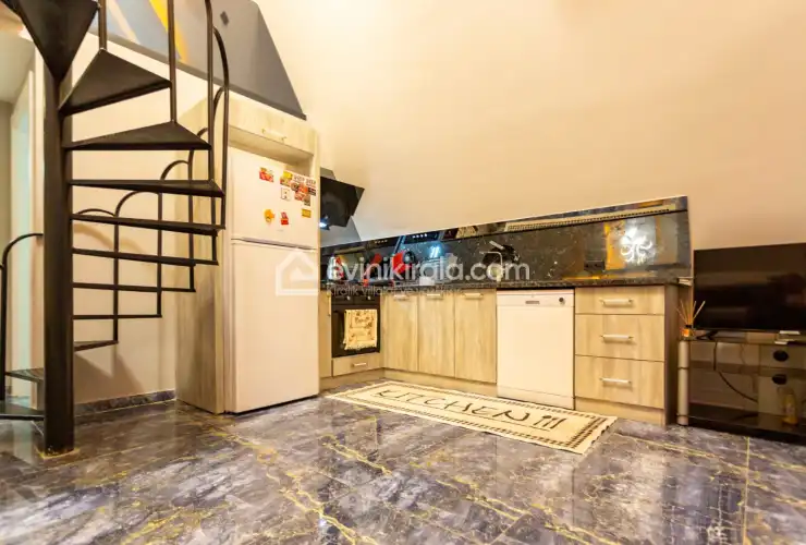 evini-kirala-villa-simal-bungalov--43_450.jpg