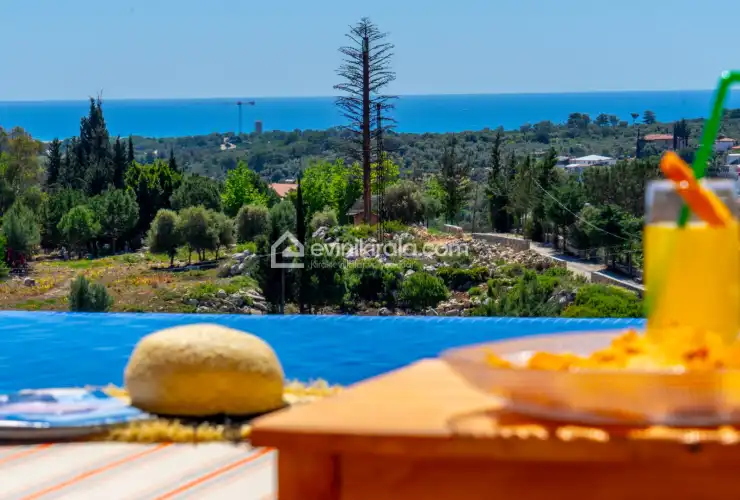 evini-kirala-villa-teciroglu-2-patara-62_10.jpg