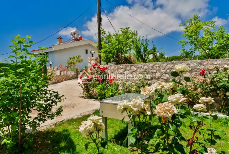 evini-kirala-villa-ugur-akbel-2025-36_431.jpg