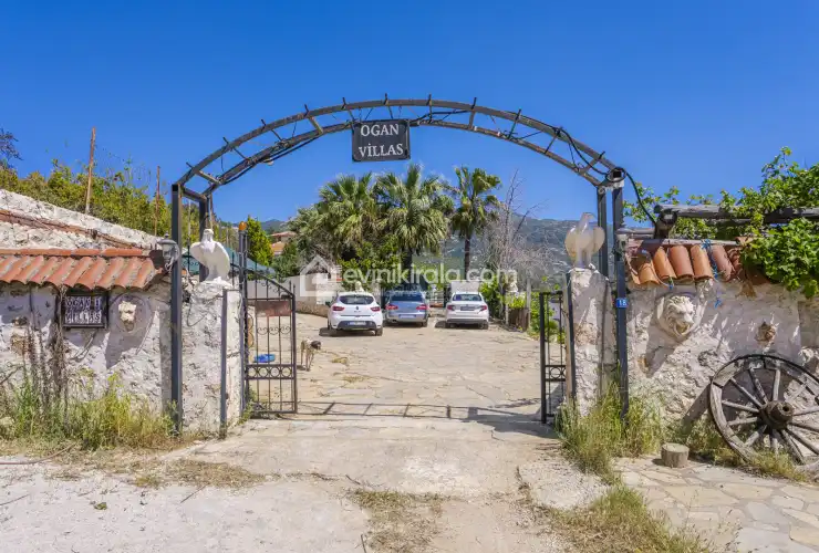 evini-kirala-villa-zeytin-uzumlu-oganvillalari-41_1920x1080_762.jpg