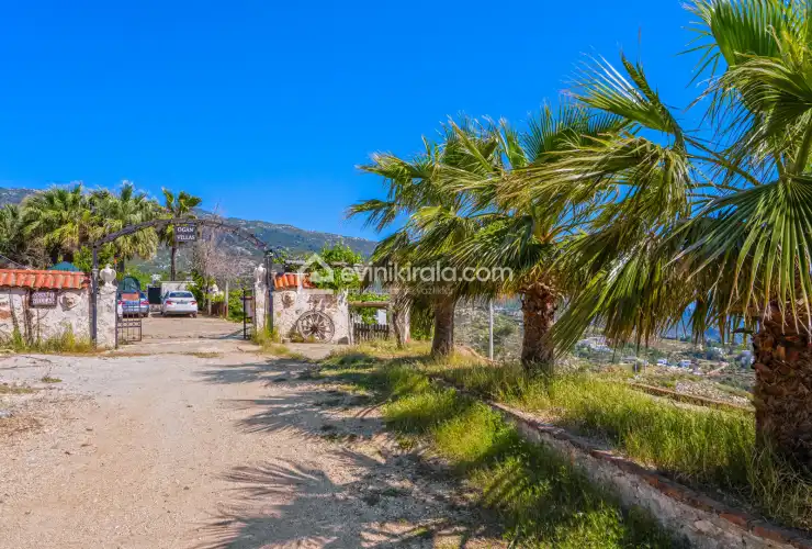 evini-kirala-villa-zeytin-uzumlu-oganvillalari-42_1920x1080_504.jpg